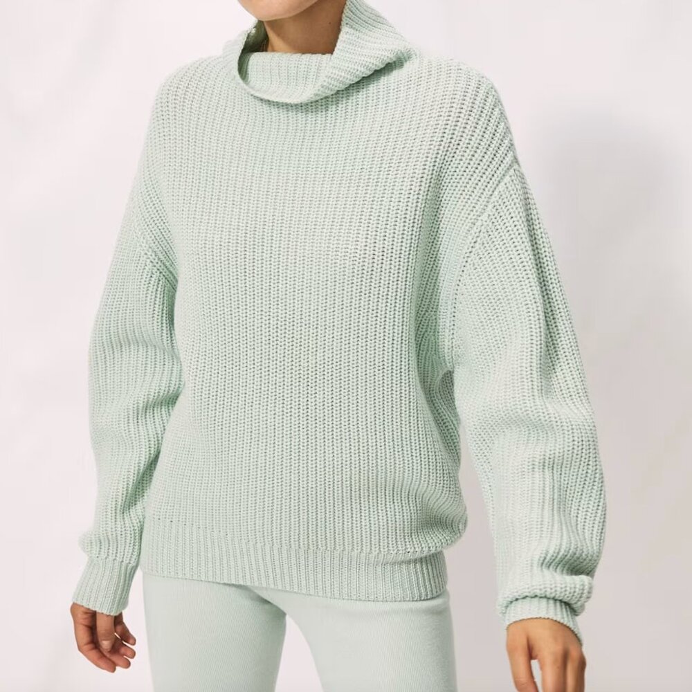ARITZIA MONTPELLIER TURTLENECK